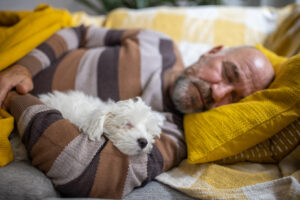 Caucasian senior man sleeping with Maltese dog on the sofa